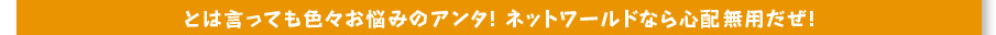 とは言っても色々お悩みのアンタ！ネットワールドなら心配無用だぜ！ 