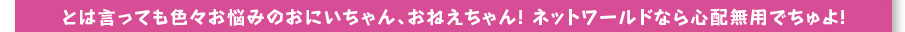 とは言っても色々お悩みのおにいちゃん、おねえちゃん！ネットワールドなら心配無用でちゅよ！ 