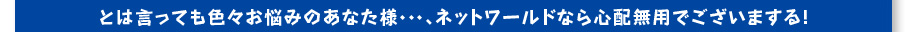 とは言っても色々お悩みのあなた様・・・、ネットワールドなら心配無用でございまする！ 