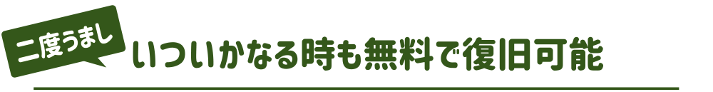 いついかなる時も無料で復旧可能
