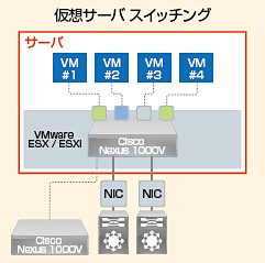 特長のイメージ