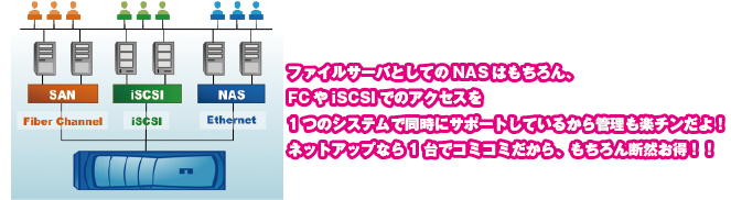 ファイルサーバとしてのNASはもちろん、Fibre ChannelやiSCSIでのアクセスを1つのシステムで同時にサポートで管理も楽チンだよ！もちろん1台でコミコミだから断然お得！！