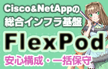 Cisco & NetAppの統合インフラ基盤 FlexPod