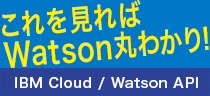 IBM Cloud / Watson API