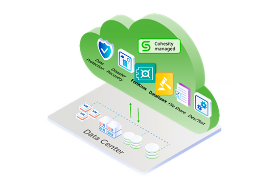 Cohesity Cloud Services
