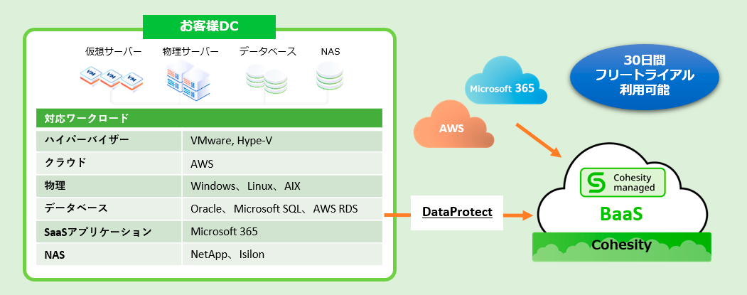 Cohesity Cloud Services 実装イメージ