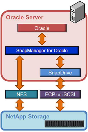 OracleサーバとNetAppの連携