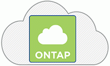 Cloud Volumes ONTAP ※旧称：ONTAP Cloud