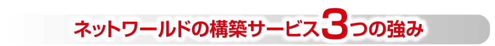 ネットワールドの構築サービス３つの強み