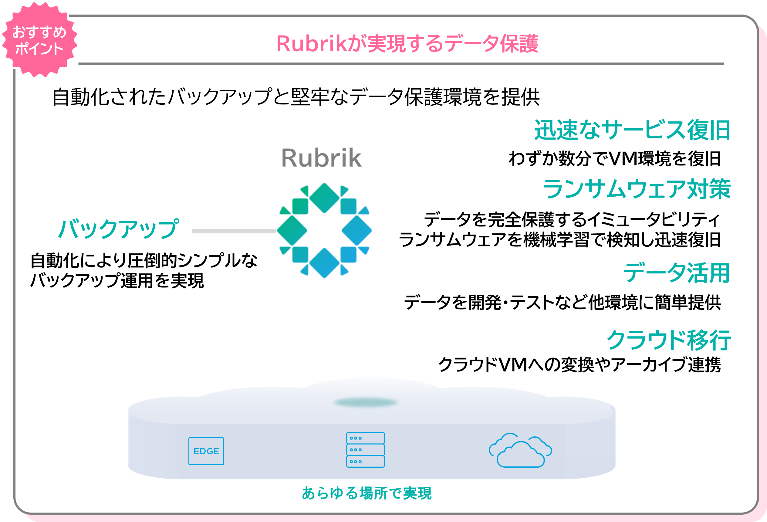 rubrik_data