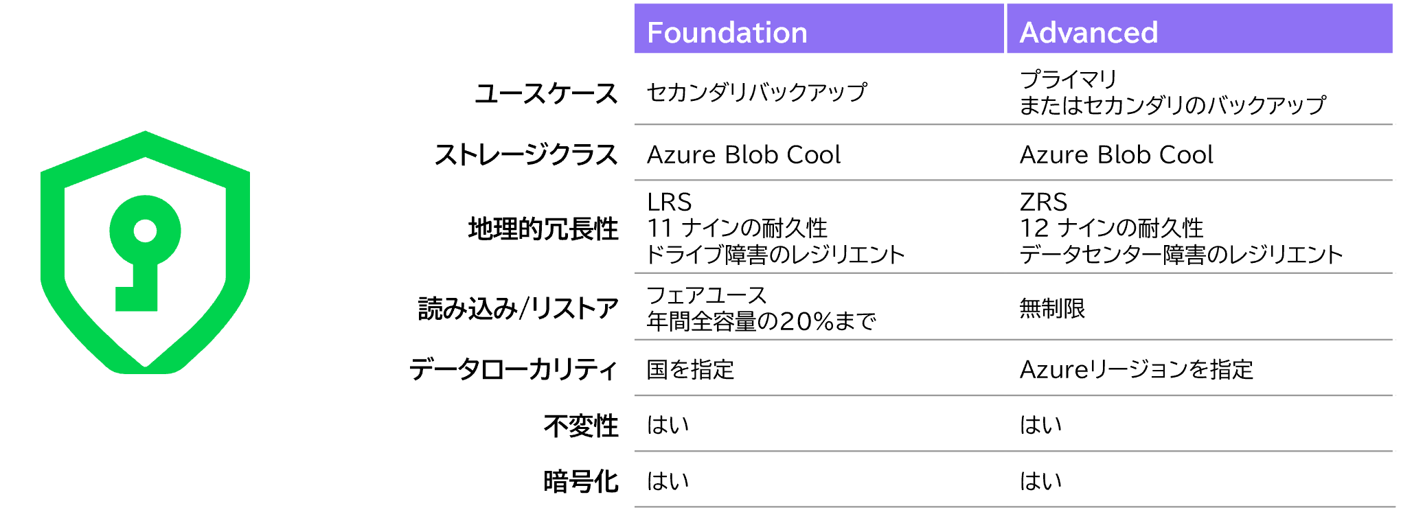 VeeamDataCloudVault02