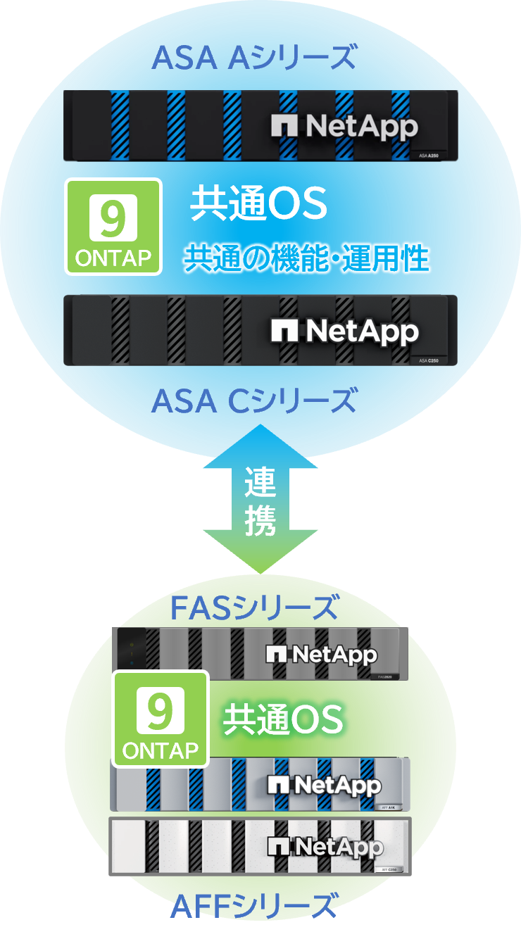 ONTAP One for SANライセンス搭載
