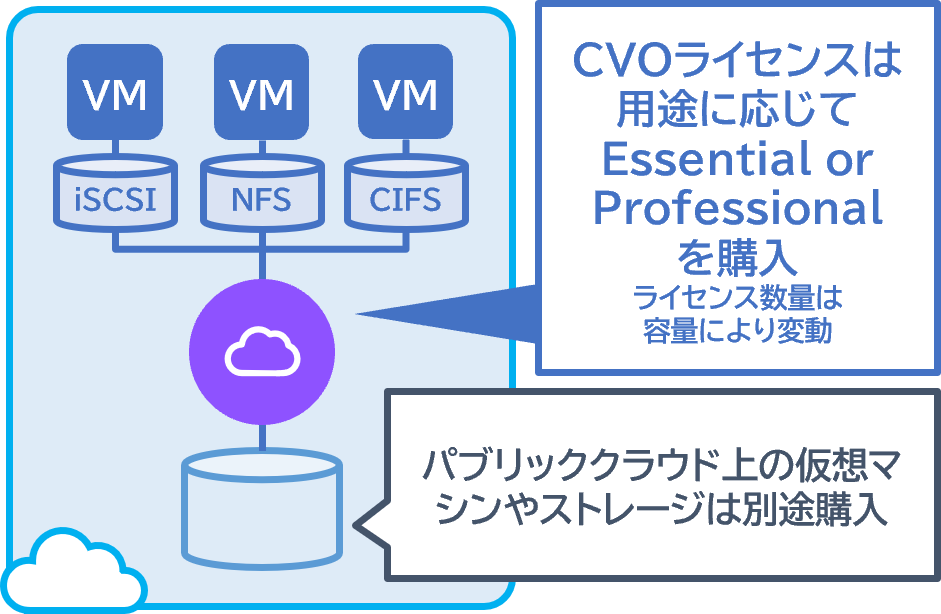 Amazon FSx for NetApp ONTAP (FSxN)/Azure NetApp Files (ANF)/Google Cloud NetApp Volumes (GCNV)