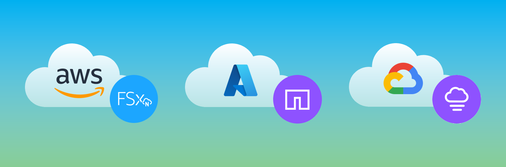 Amazon FSx for NetApp ONTAP (FSxN)/Azure NetApp Files (ANF)/Google Cloud NetApp Volumes (GCNV)