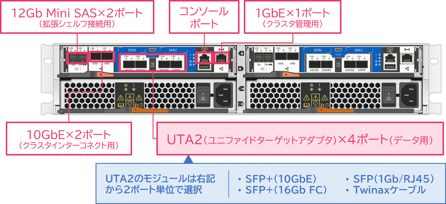 UTAモデル