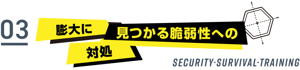 膨大に見つかる脆弱性への対処