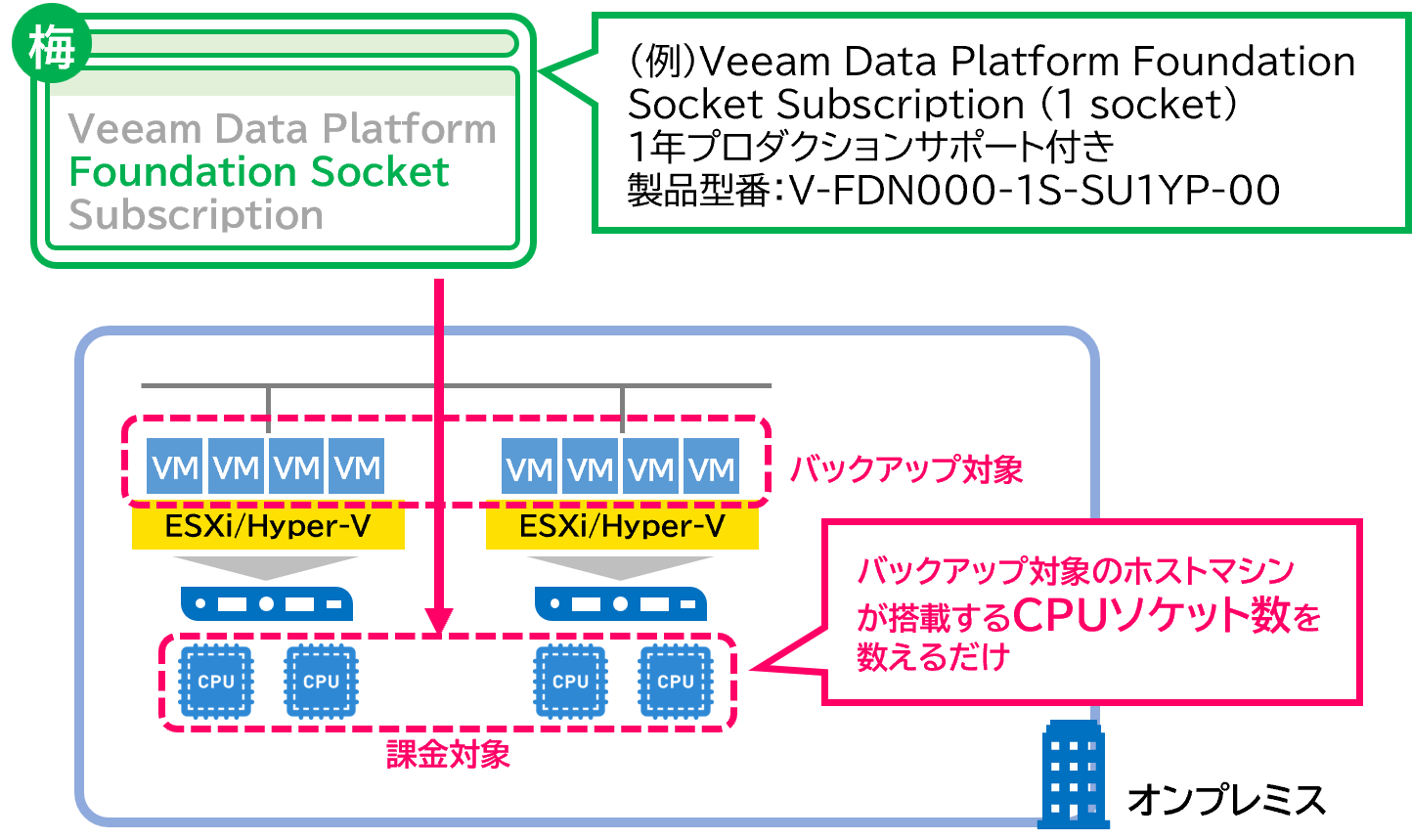 ソケットサブスクリプションライセンスの概要