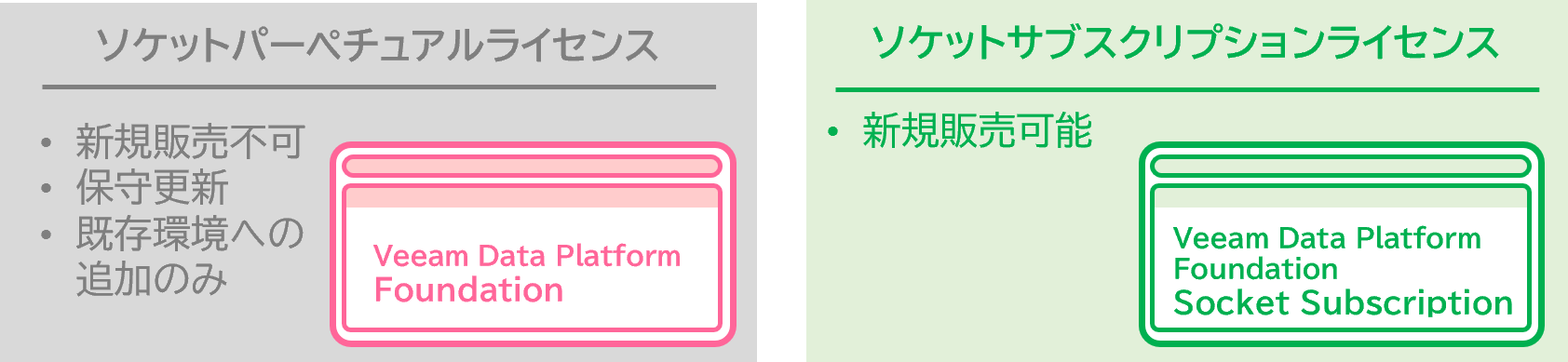 パーペチュアルとサブスクリプションの違い