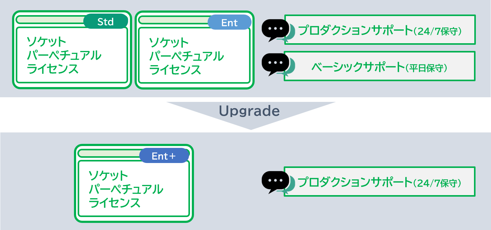 パーペチュアルソケットライセンスのアップグレード