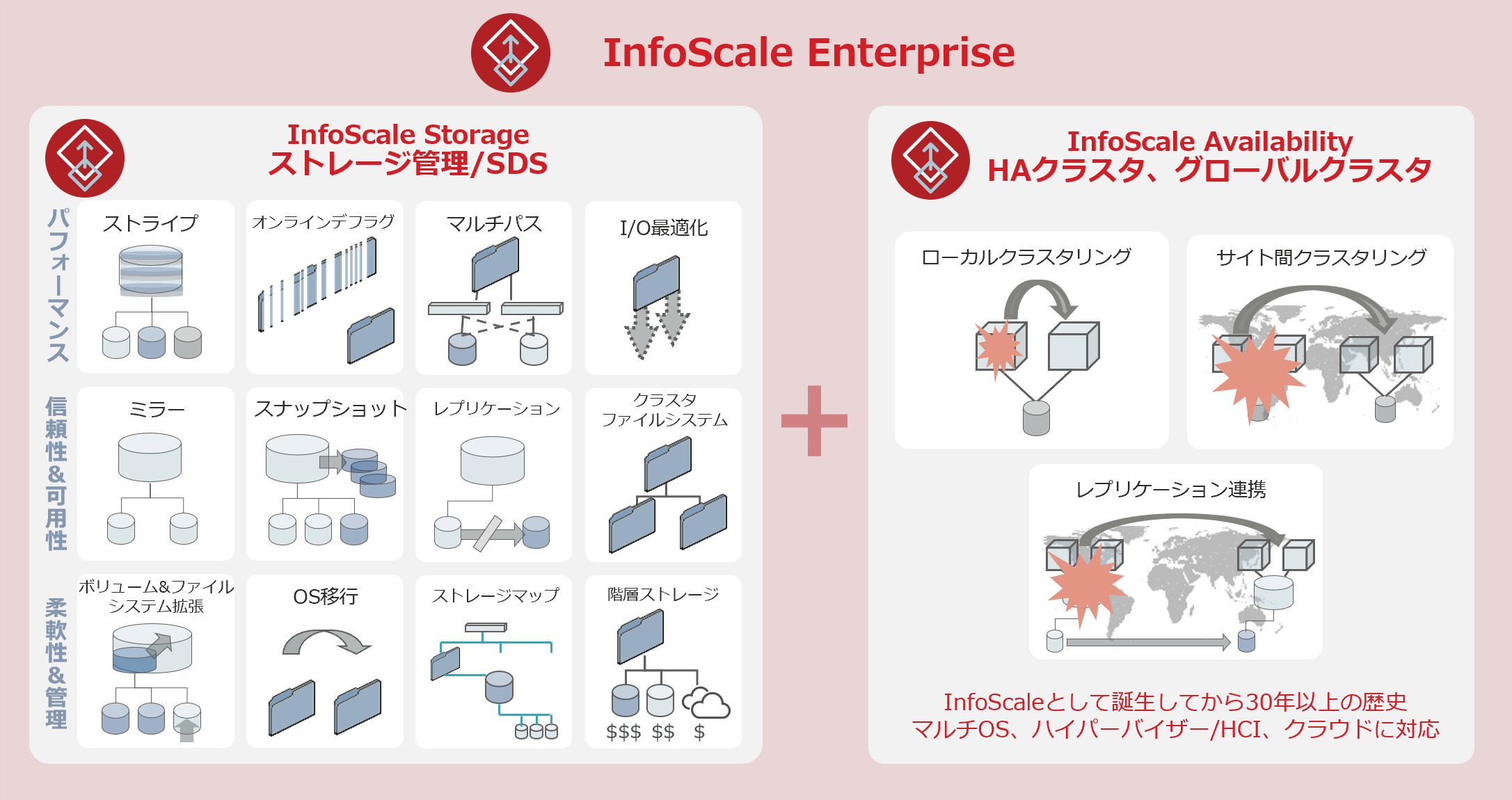 InfoScaleとは