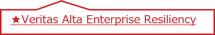 Veritas Alta Enterprise Resiliency